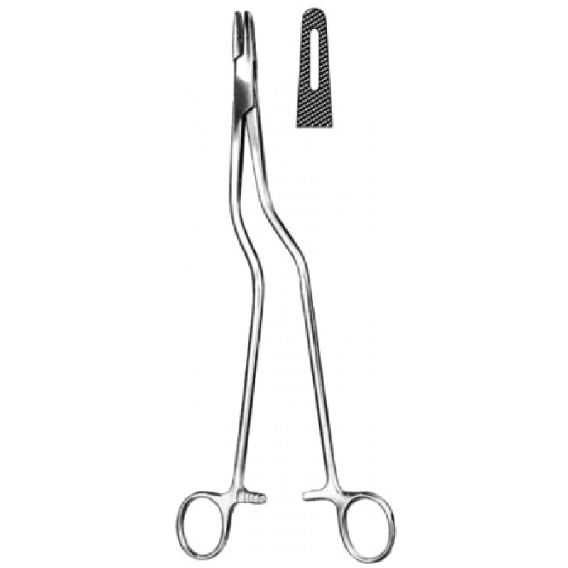Masson Luethy Needle Holder