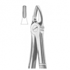 Extracting Forceps