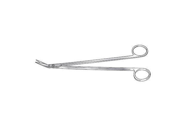 Potts Scissors 