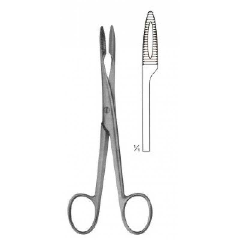 Endodontic Forceps