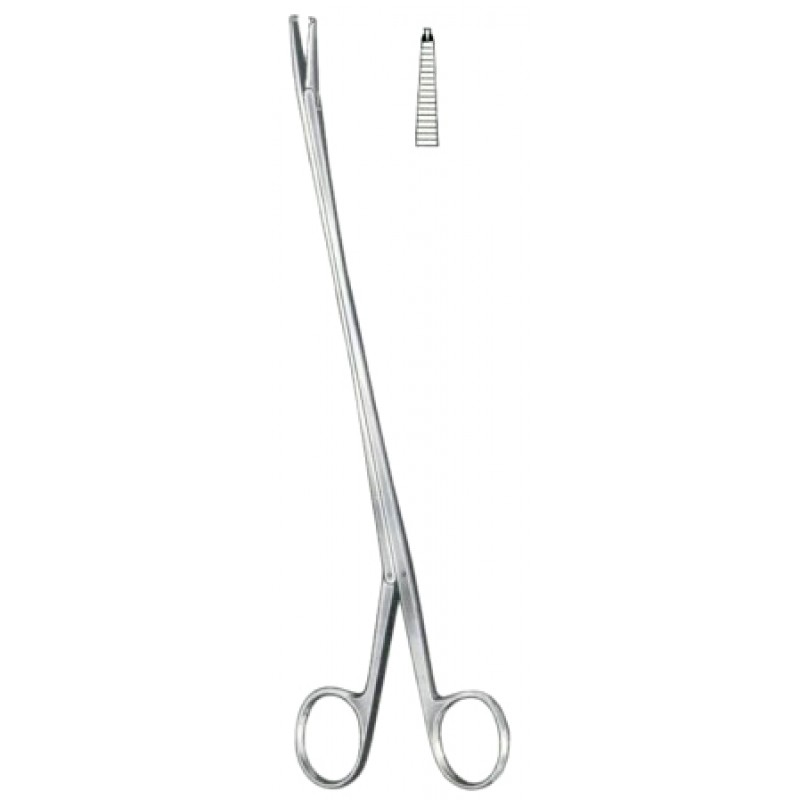 Brand Tendon Seizing Forceps 24cm9 12