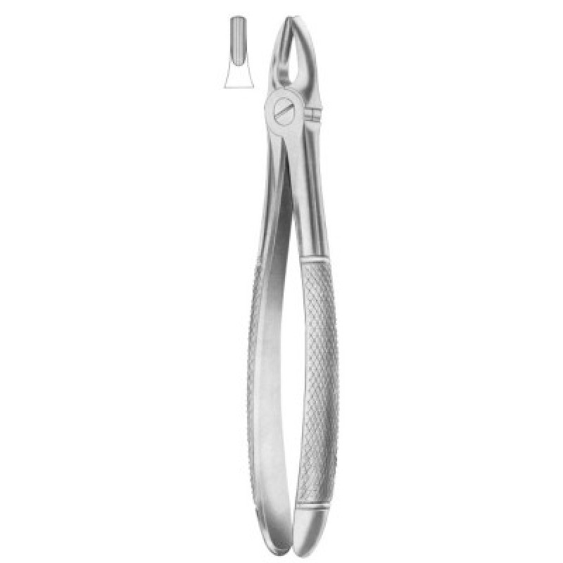 Extracting Forceps