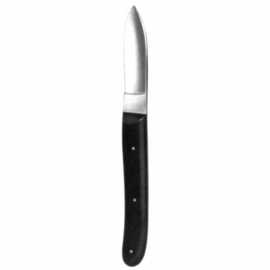 Hopkins Plaster Knife