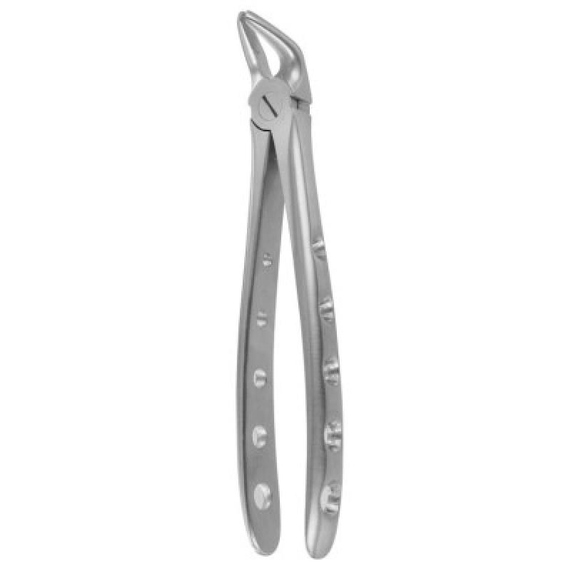 Extracting Forceps